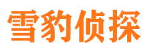 鹿城侦探公司